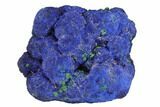 Vivid Blue, Cut/Polished Azurite Nodule - Siberia #94592-1